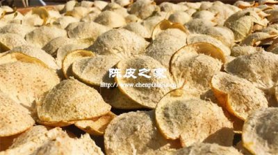 寒湿体质能用陈皮茯苓黄芪山药芡实煮水喝吗