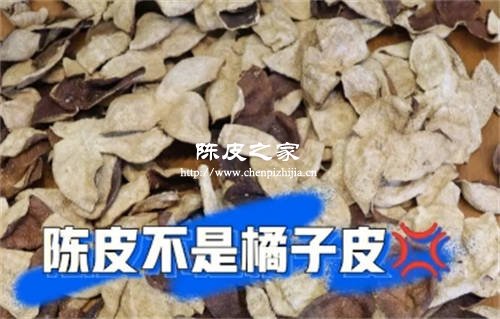 中药陈皮和橘皮有什么差别