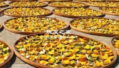 普通的桔子皮晒干算陈皮吗