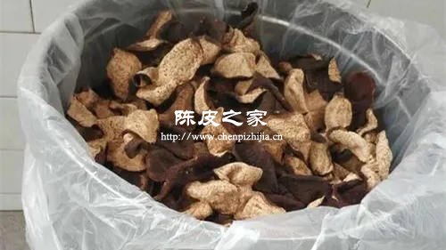 陈皮放在潮湿的天气里几天会坏吗