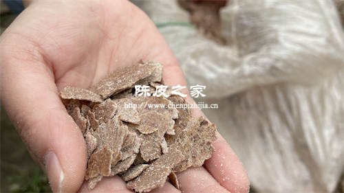 小红家陈皮是老字号吗