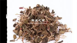 金线莲陈皮水的功效与作用