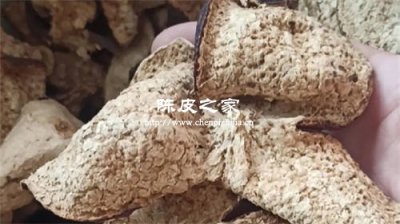 陈皮双水和天马的区别，究竟哪个产区陈皮更好