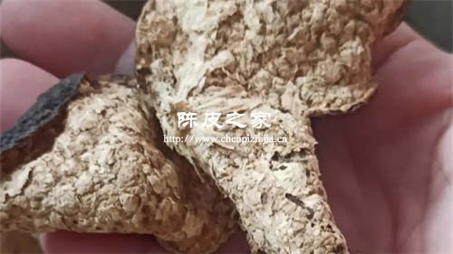 陈皮双水和天马哪个陈皮品牌好