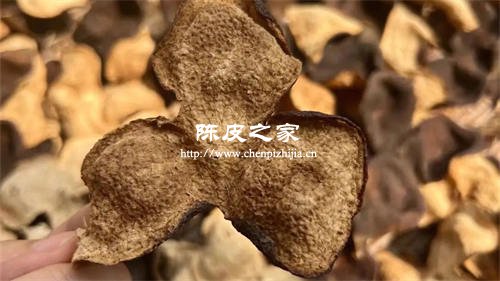 新会陈皮和橘子皮区别大吗