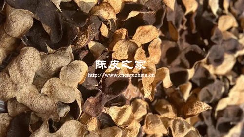 新会陈皮和橘子皮区别大吗