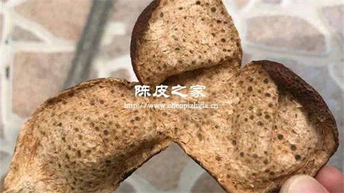 陈皮背面有密密麻麻的黑点怎么回事