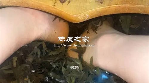 艾蒿生姜花椒橘子皮一起煮水泡脚熏蒸好吗