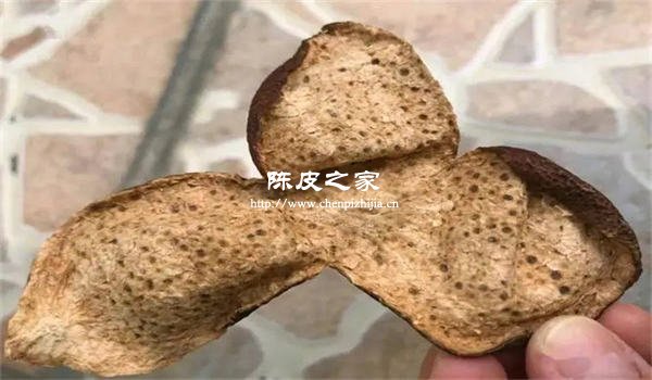 陈皮背面有密密麻麻的黑点怎么回事