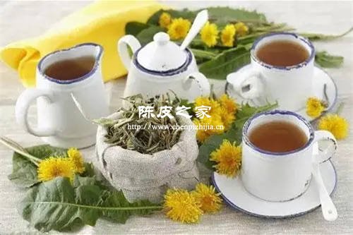 陈皮菊花蒲公英茶的功效与作用有哪些