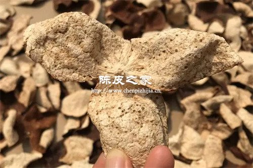 为什么使用陈皮时要把里面白色的东西刮掉