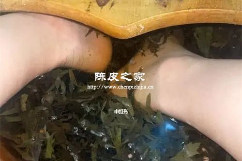 陈皮加生姜加醋泡脚的功效与作用