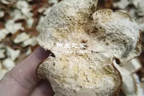 陈皮放多久里面那层白色的会掉