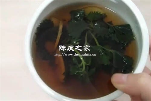 陈皮紫苏叶甘草生姜可以一起煮水喝吗