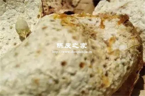 陈皮虫蛀可以采用冷冻处理吗