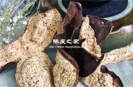 桑白皮与陈皮的功效与作用