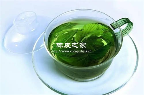 陈皮和桑叶泡茶的功效与作用禁忌