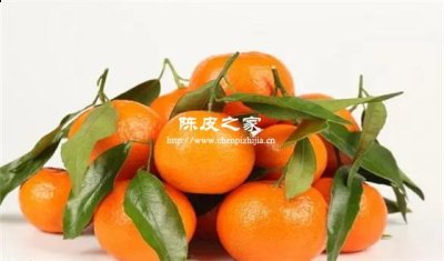 橘子和柑子哪种适合做陈皮