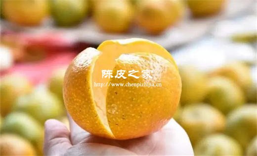 橘子和柑子哪种适合做陈皮