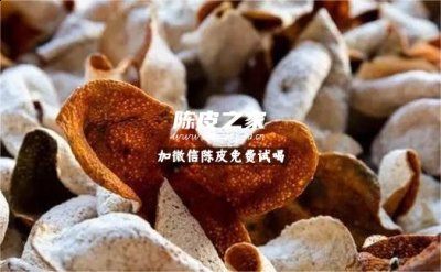 陈皮和白参能一起泡水喝吗