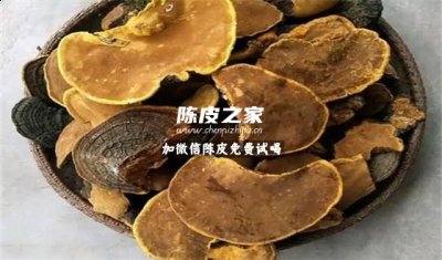 桑黄和陈皮能一起泡水喝吗