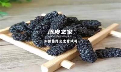 桑葚能和陈皮一起泡水喝吗？一文详细告诉你