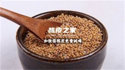 芥子配伍陈皮的意义是什么