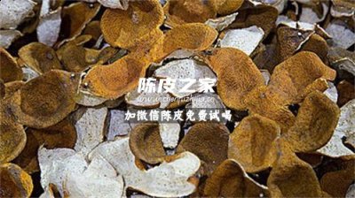 陈皮配哪种中药治寒痰咳嗽