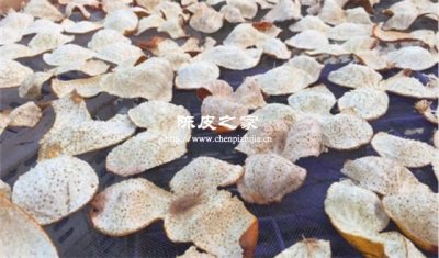 陈皮需要每年都拿出来晒吗