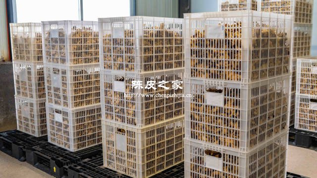胶框透气性好存放低年份陈皮效果好