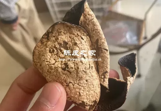 做旧陈皮会生虫吗？会但比正宗陈皮生虫概率低