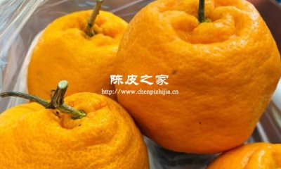 自己晒的耙耙柑皮是陈皮吗，为什么