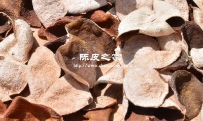 煮陈皮水里面都是白色的是为啥