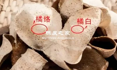 陈皮泡水或者做药材需要把白色的膜切掉吗