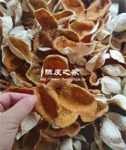 没有果蒂的陈皮一定是落地果吗