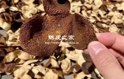 5年陈皮和10年陈皮区别大不大