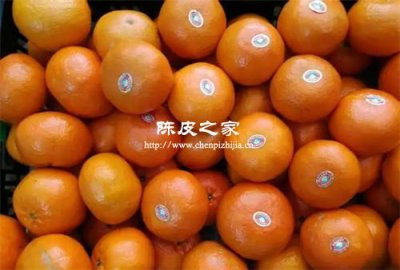 巴西柑的皮晒干能当陈皮泡水喝吗