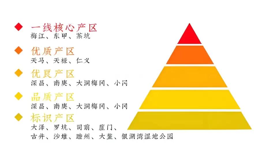 新会三线陈皮产区有哪几个