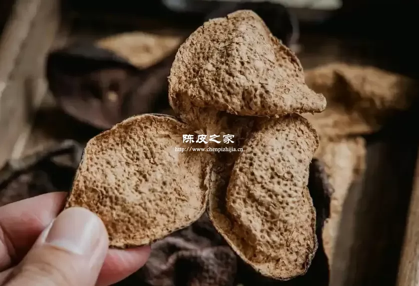 看陈皮内囊鉴别真假