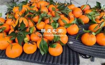 陈皮三蒸三晒的详细制作方法