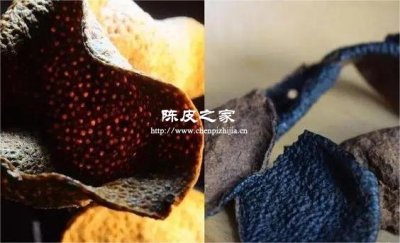 真陈皮和假陈皮的具体区别
