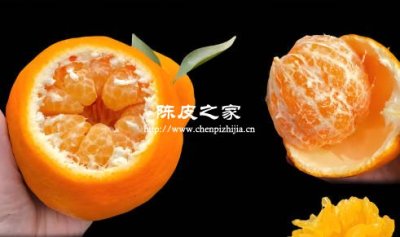 耙耙柑三蒸三晒会是陈皮吗