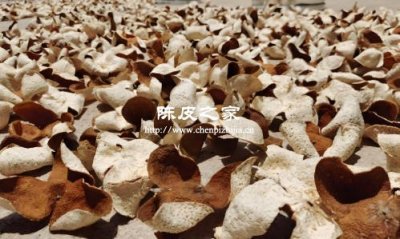 晒陈皮要不要反向皮那边晒，这是为什么