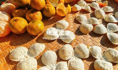 十年新会陈皮有苦味正常吗