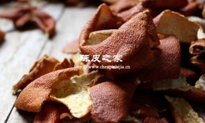 生姜紫苏陈皮水功效与作用