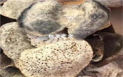 你的陈皮可能白存了！如何判断陈皮是否“死亡”