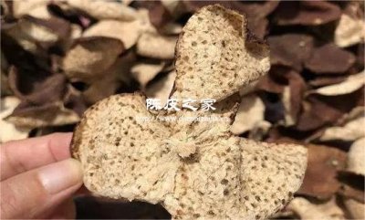 为什么中医特别推崇陈皮？