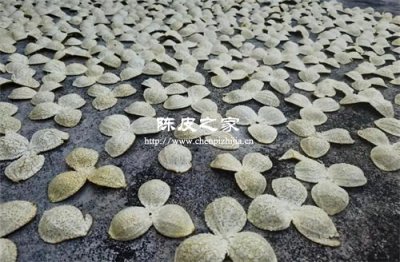 陈皮=橘子皮？你可能浪费了百万药材
