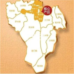 为什么广东新会陈皮被誉为“第一陈皮”？