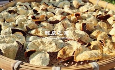 新会陈皮的品质都是一样的吗